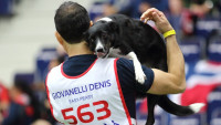 agility I Denis Giovanelli s border kolii Easy Peasy
